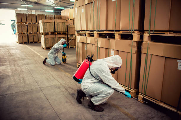 Flea Control Services in Firestone, CO