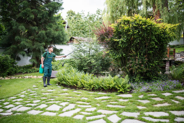 Trusted Firestone, CO Pest Control Experts