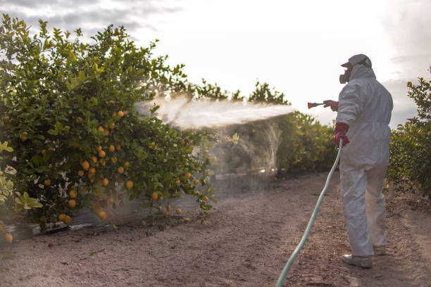 Best Best Pest Control Companies  in Firestone, CO