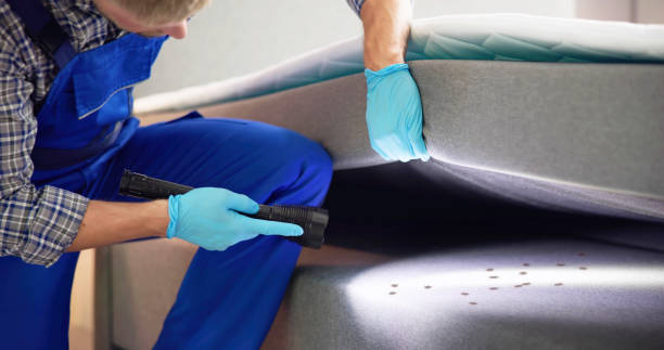 Best Pest Control for Businesses  in Firestone, CO
