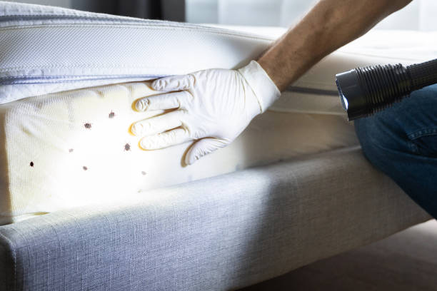 Best Pest Prevention Services  in Firestone, CO