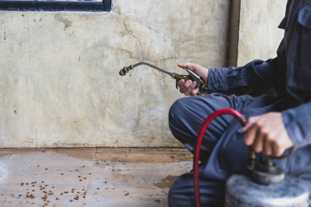 Best Exterminator Services  in Firestone, CO
